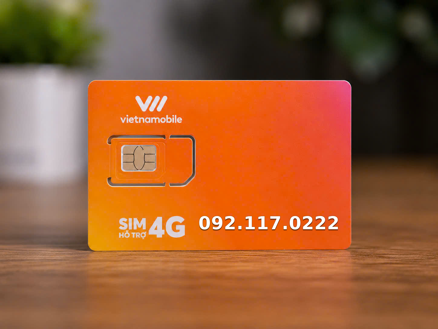 Ảnh SIM 0921170222 Vietnamobile